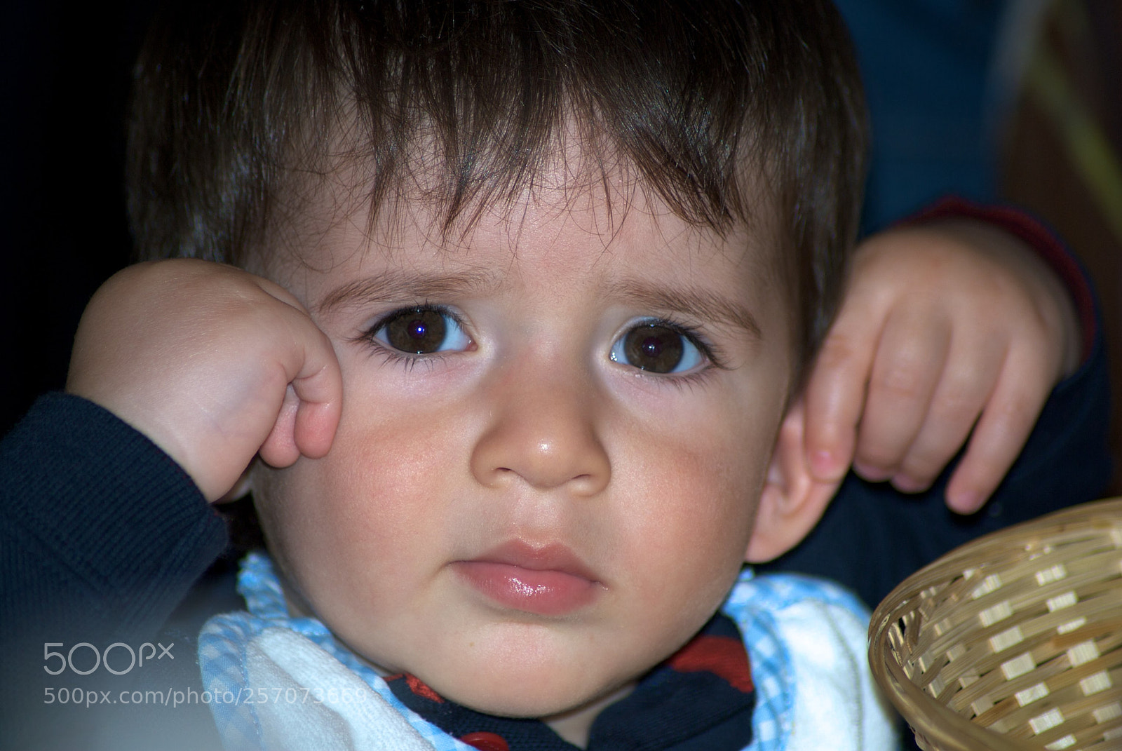 Nikon D60 sample photo. Version photography