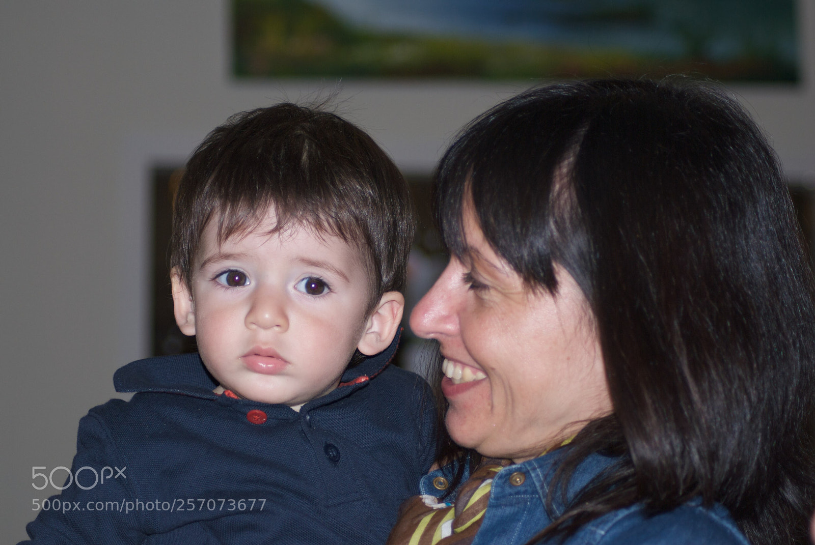 Nikon D60 sample photo. Version photography
