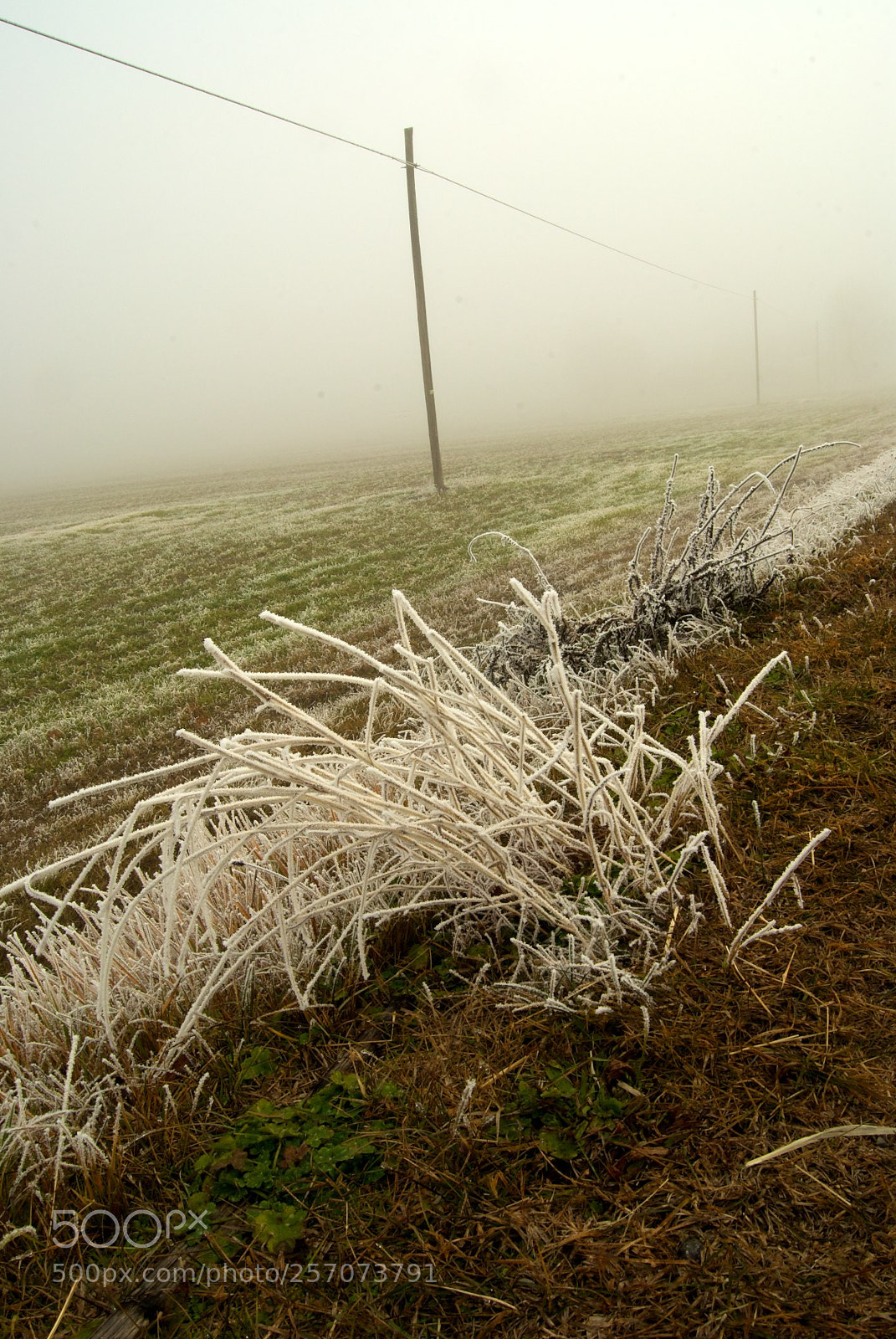 Nikon D60 sample photo. Version photography