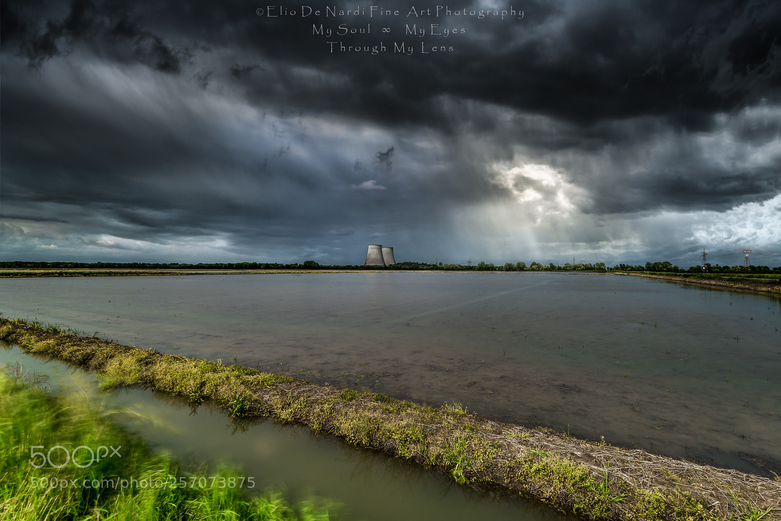 Nikon D810 sample photo. Among the rice fields photography