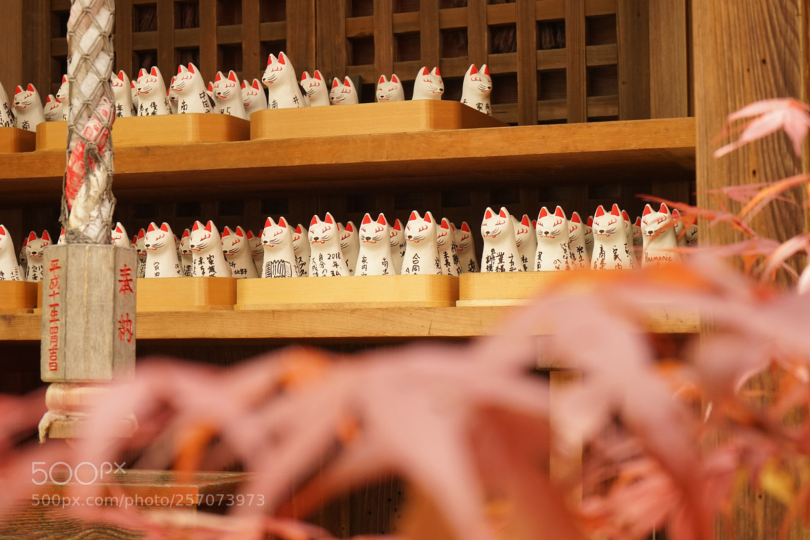 Sony a7 II sample photo. Fox and shrine - キツネと神社 photography