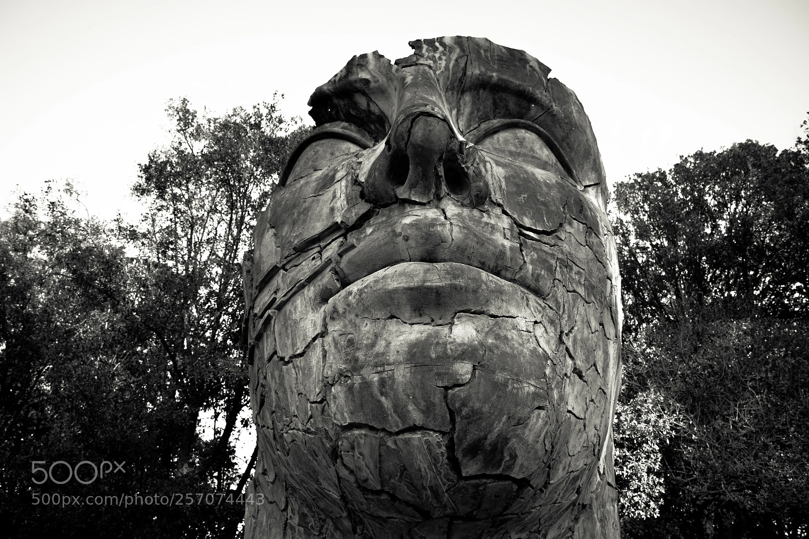 Nikon D7100 sample photo. Face photography