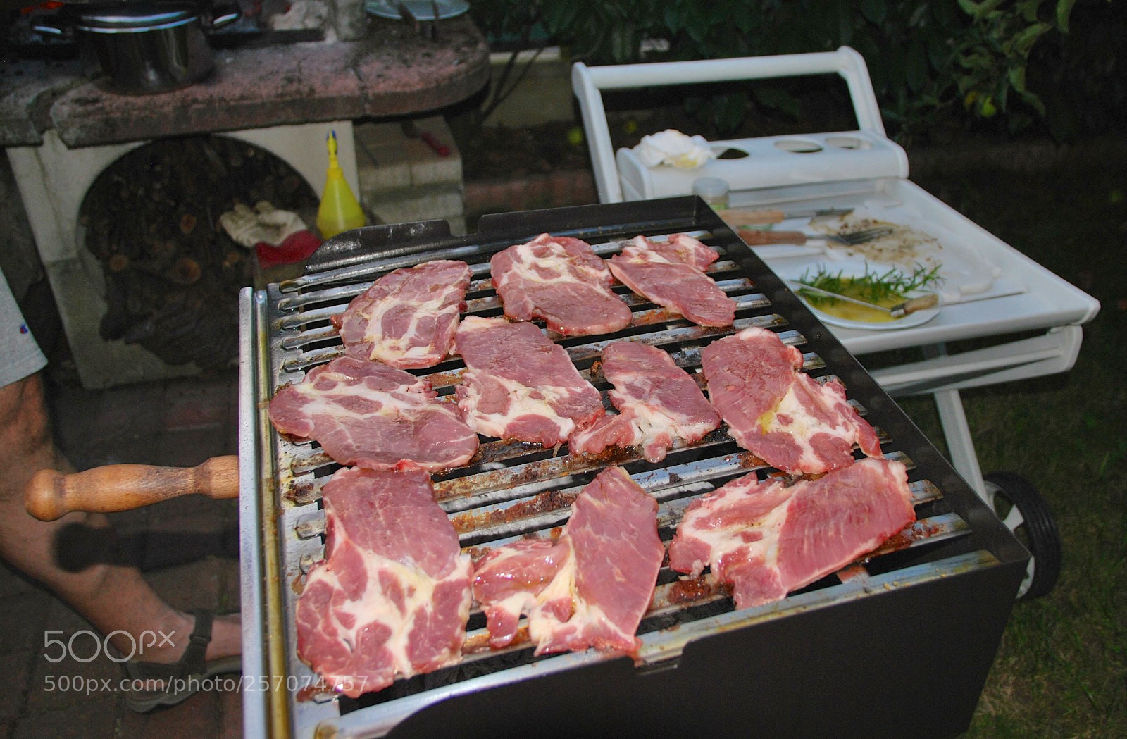 Nikon D60 sample photo. Version photography