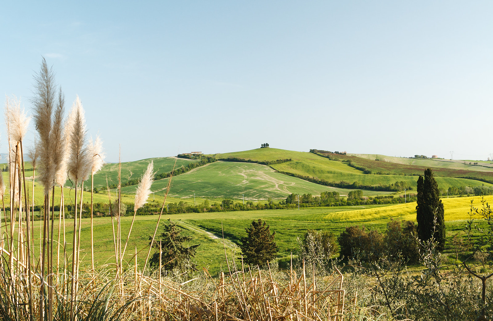 Canon EOS 70D sample photo. Tra le colline ed photography