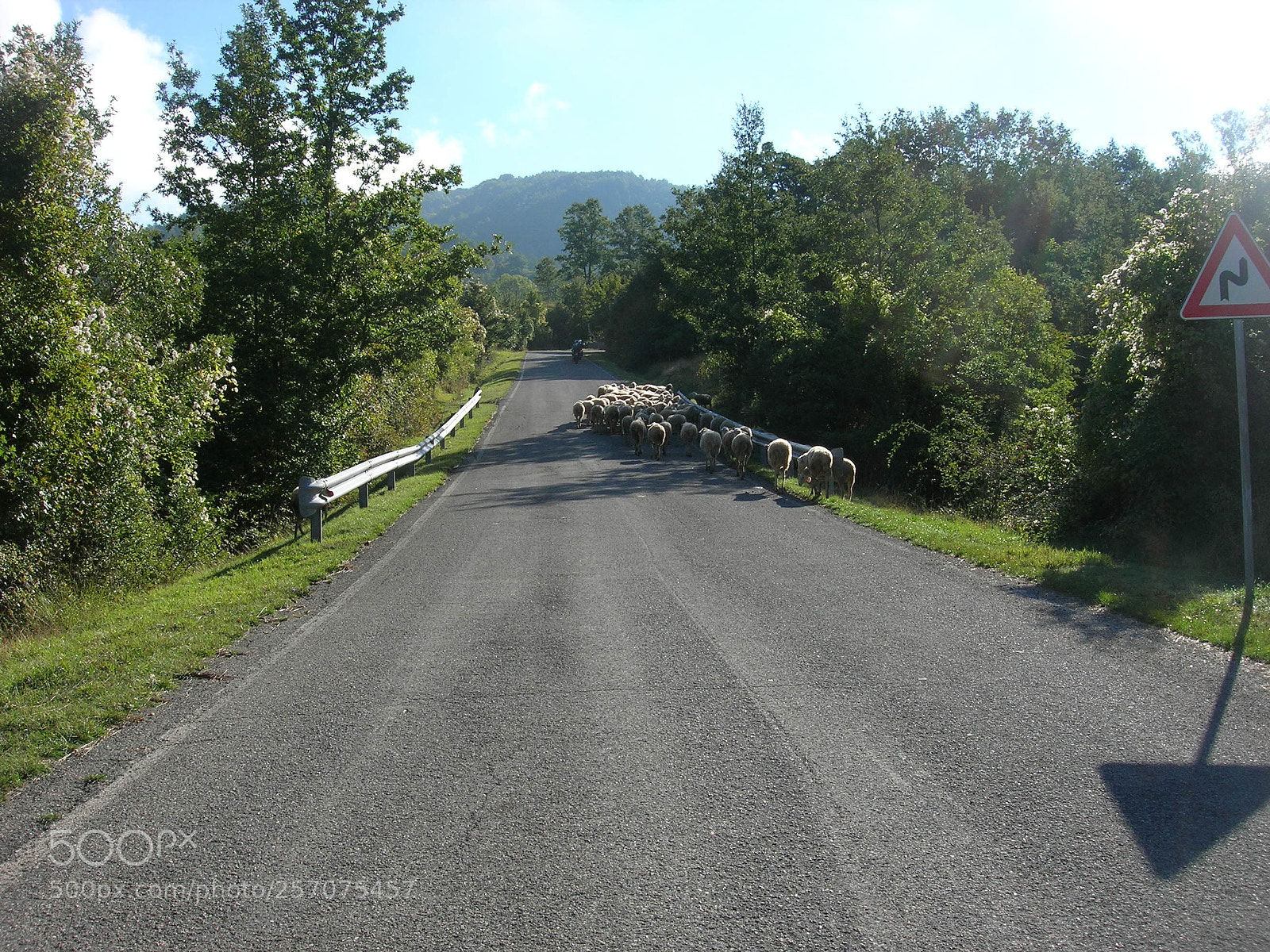 Nikon E5900 sample photo. Traffico photography