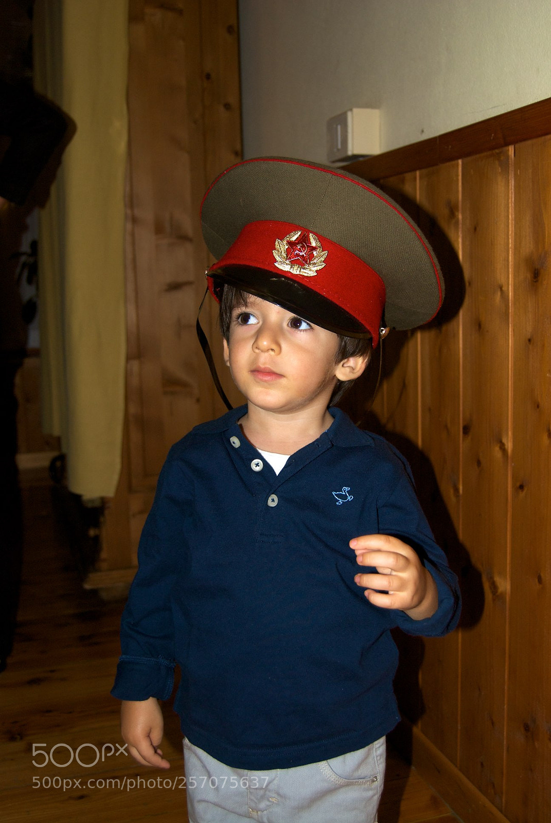 Nikon D60 sample photo. Version photography