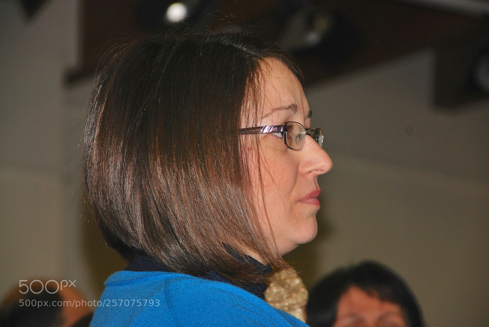 Nikon D60 sample photo. Version photography