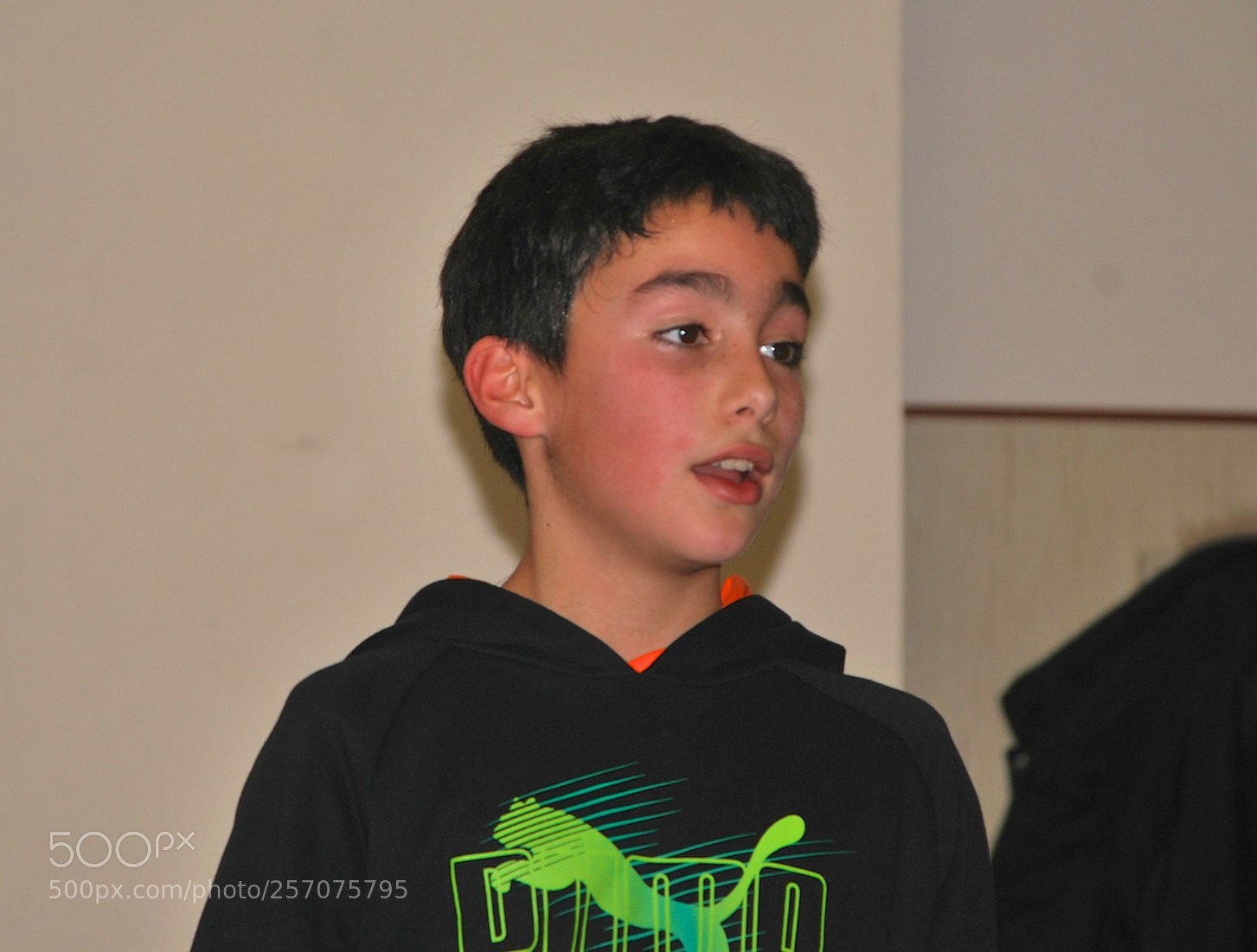 Nikon D60 sample photo. Version photography