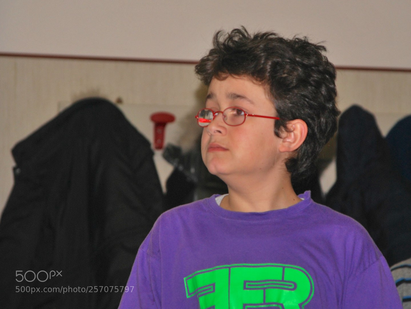 Nikon D60 sample photo. Version photography