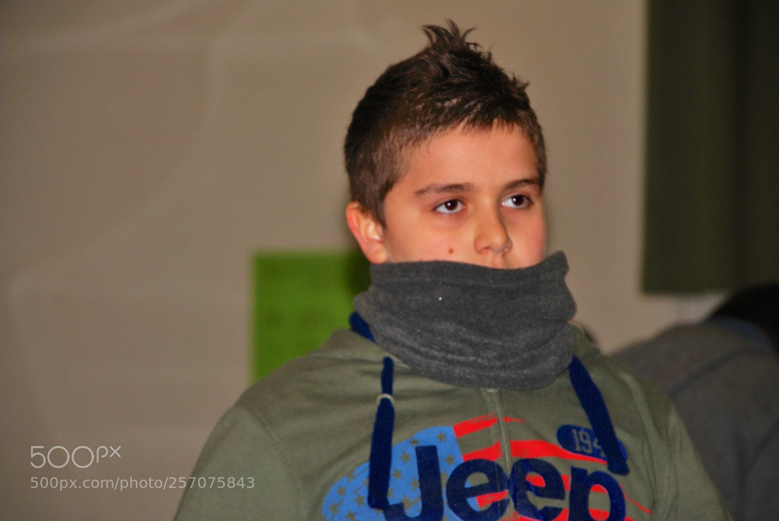 Nikon D60 sample photo. Version photography