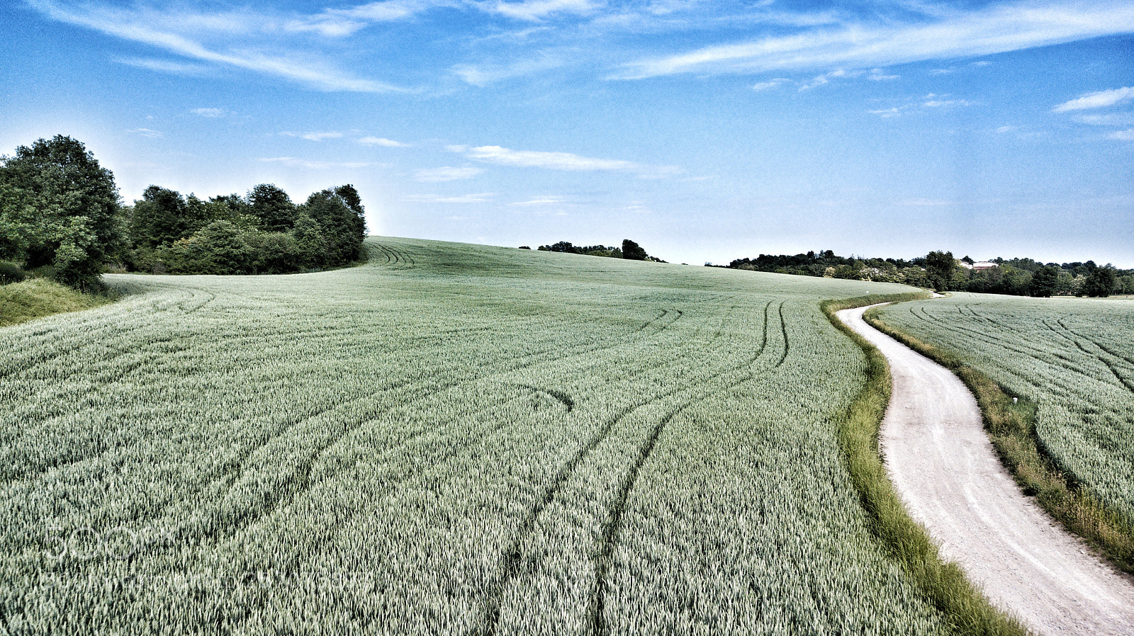 DJI FC220 sample photo. Country photography