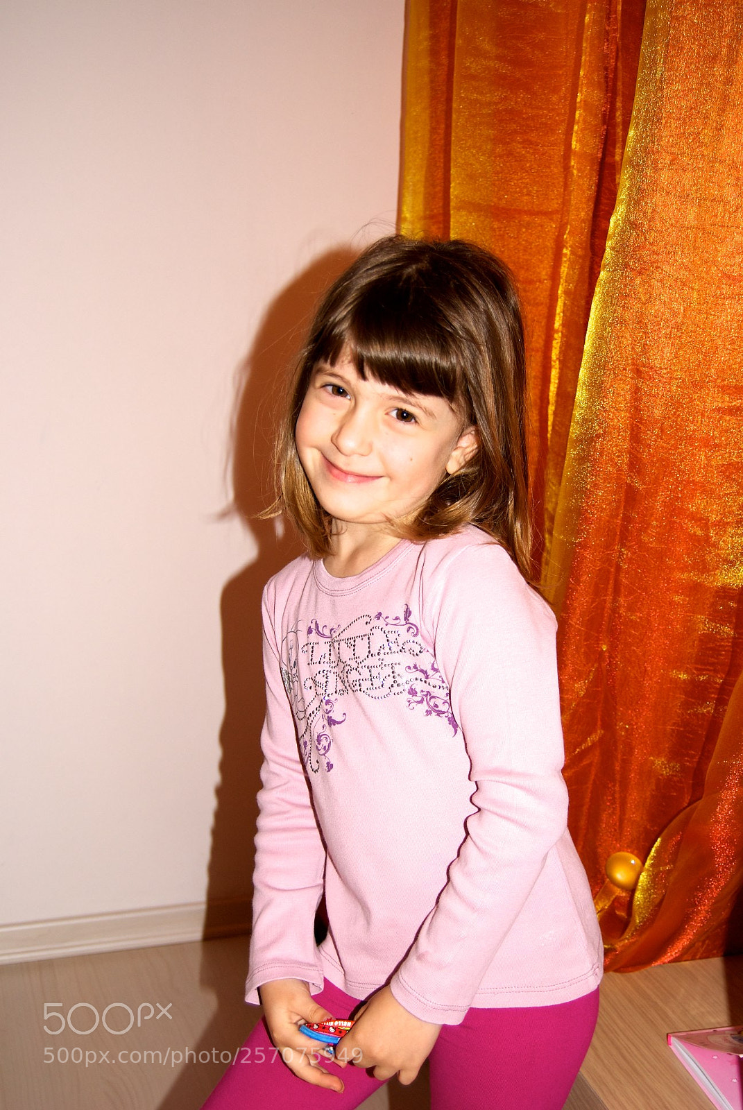 Nikon D60 sample photo. Version photography