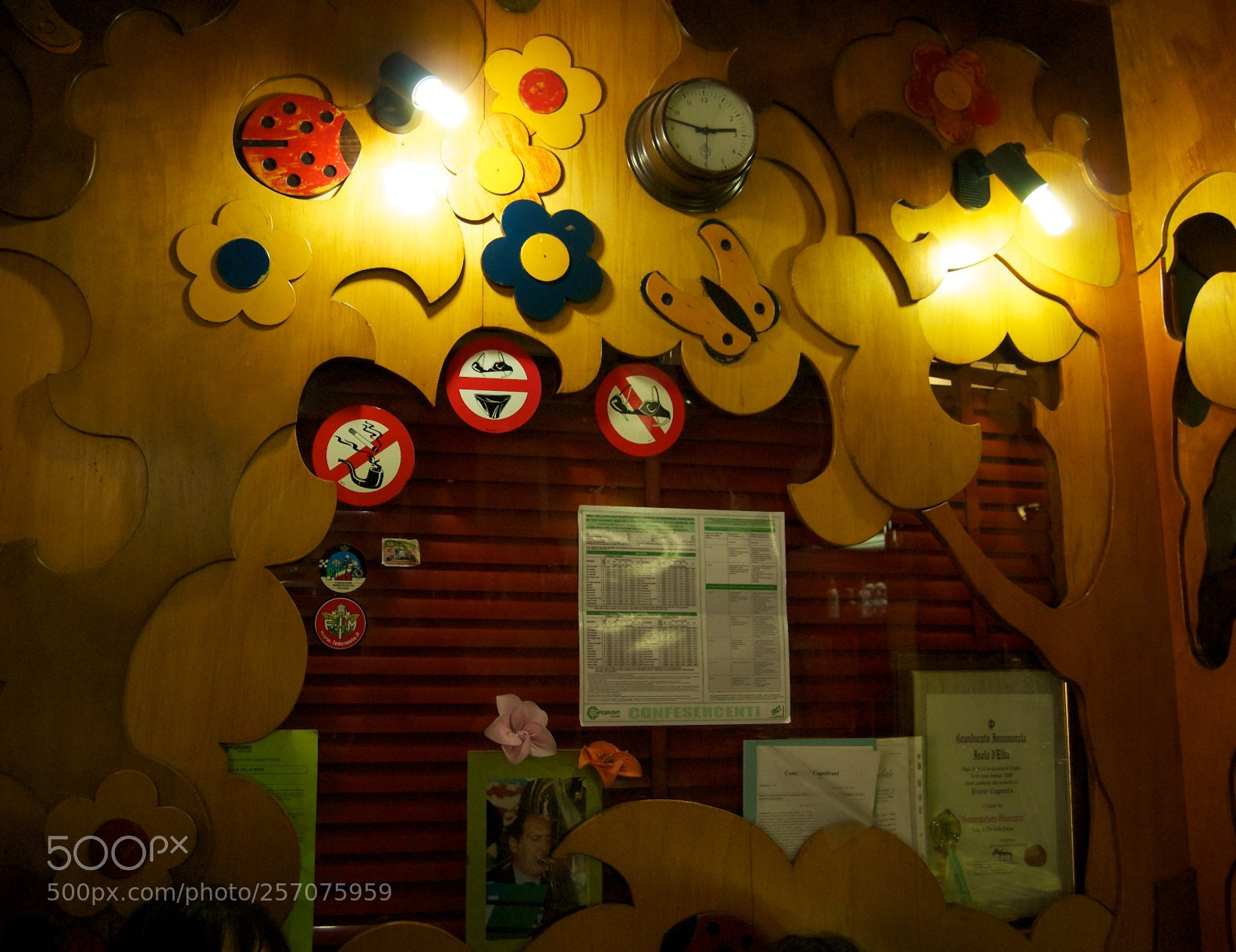 Nikon D60 sample photo. Version photography