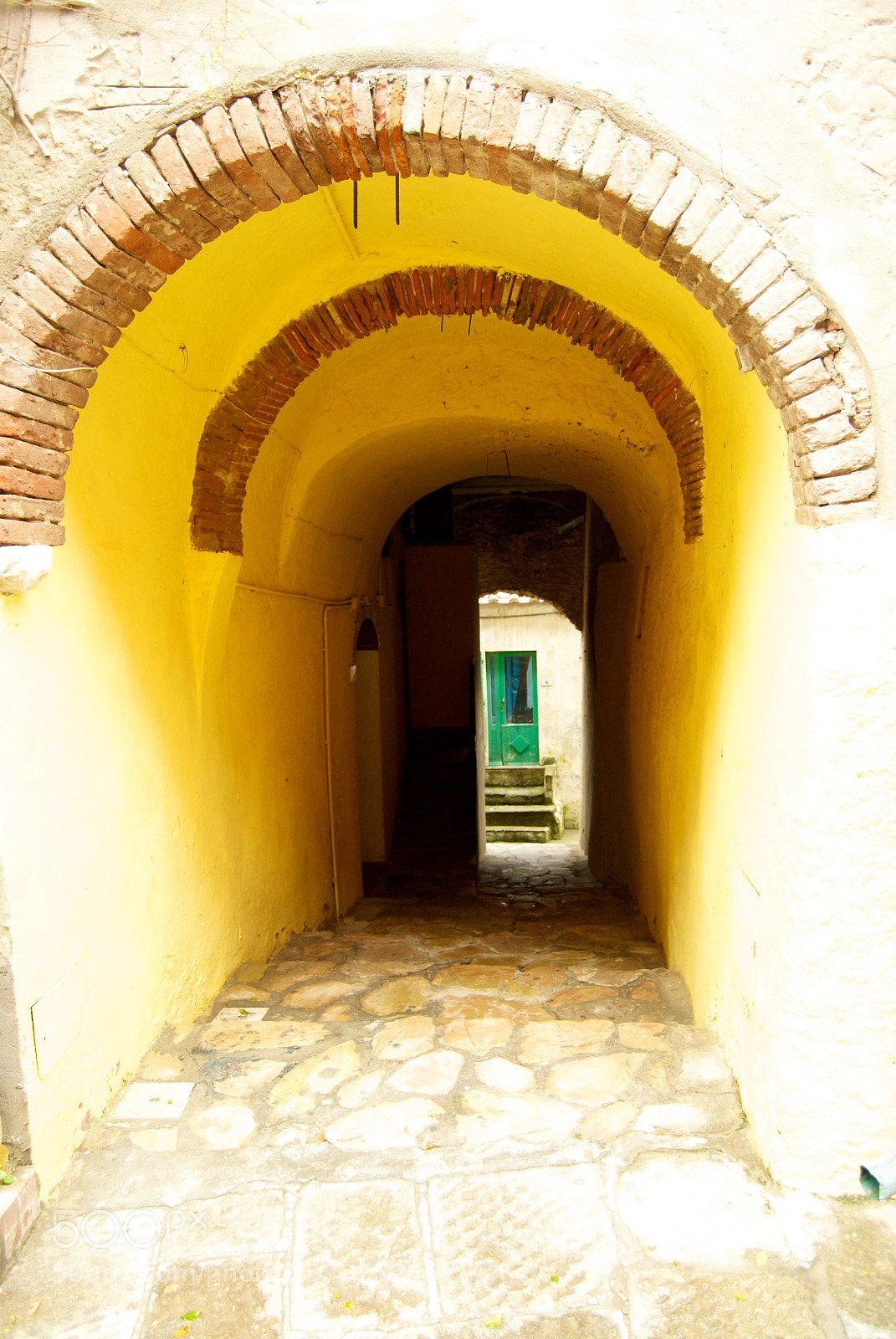 Nikon D60 sample photo. Version photography