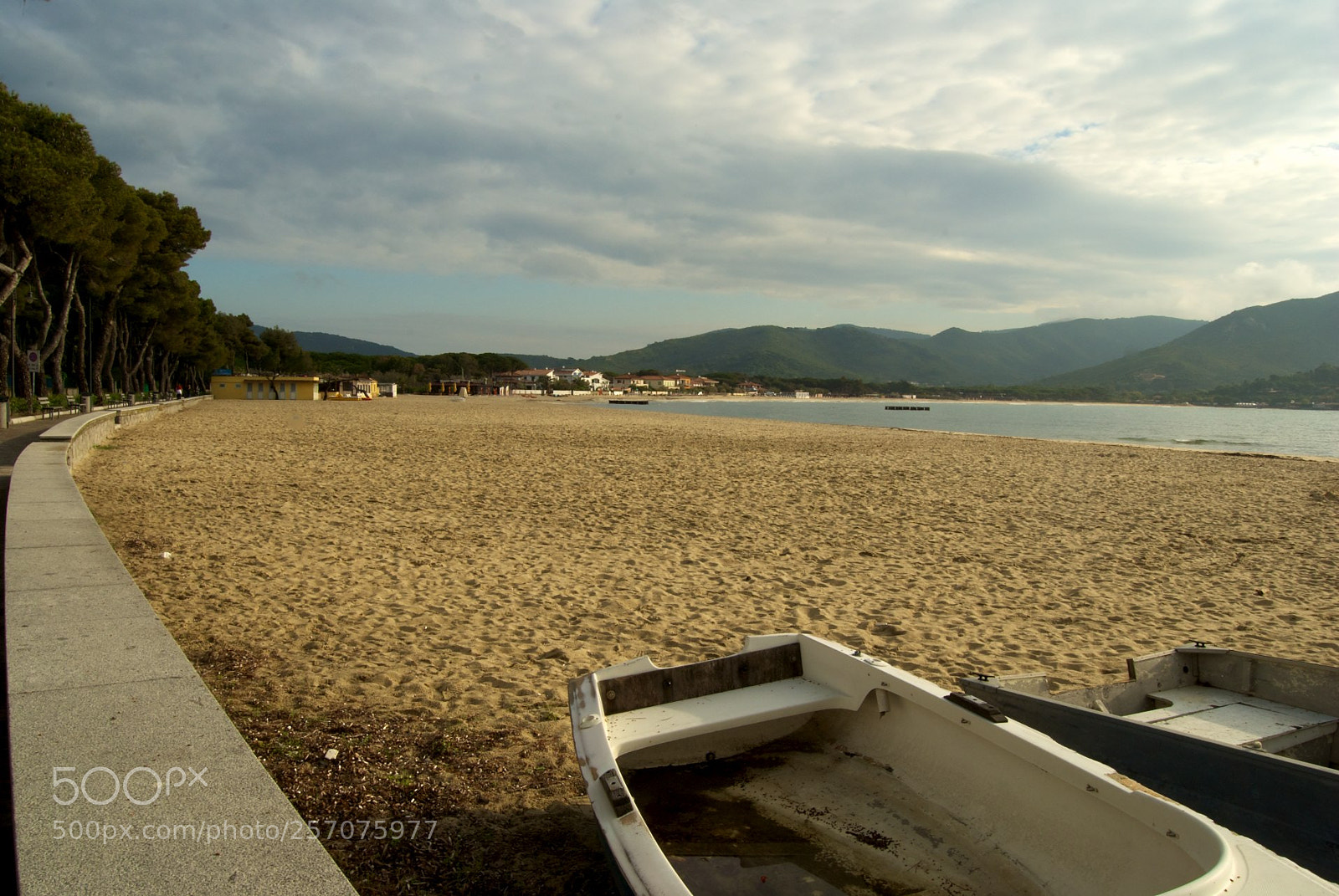 Nikon D60 sample photo. Version photography