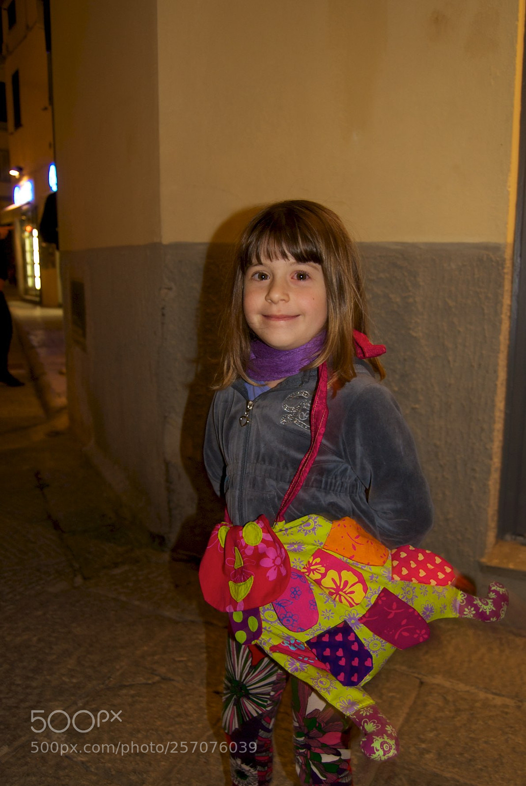 Nikon D60 sample photo. Version photography