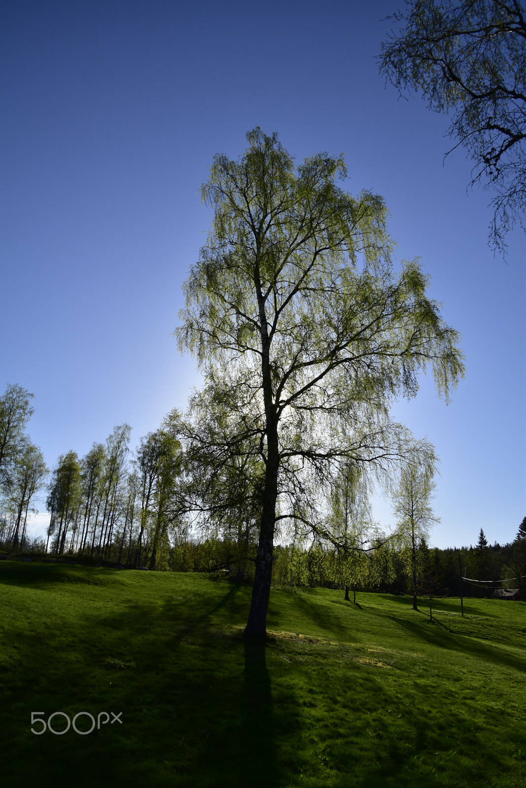 Nikon D5500 sample photo. Solnedgång photography