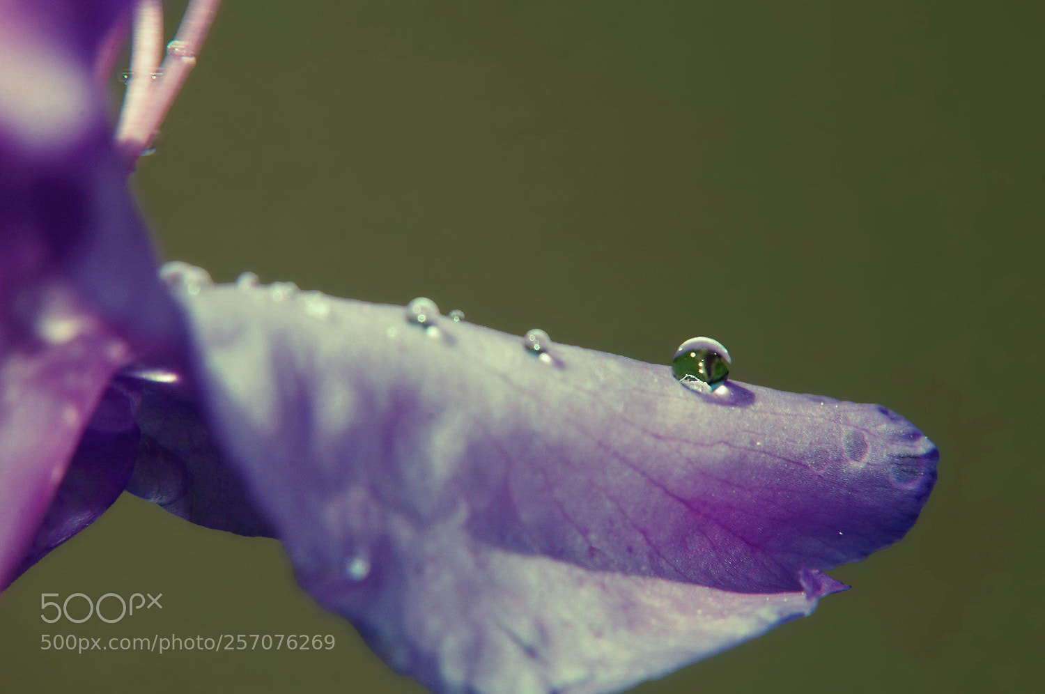 Nikon D5000 sample photo. — photography