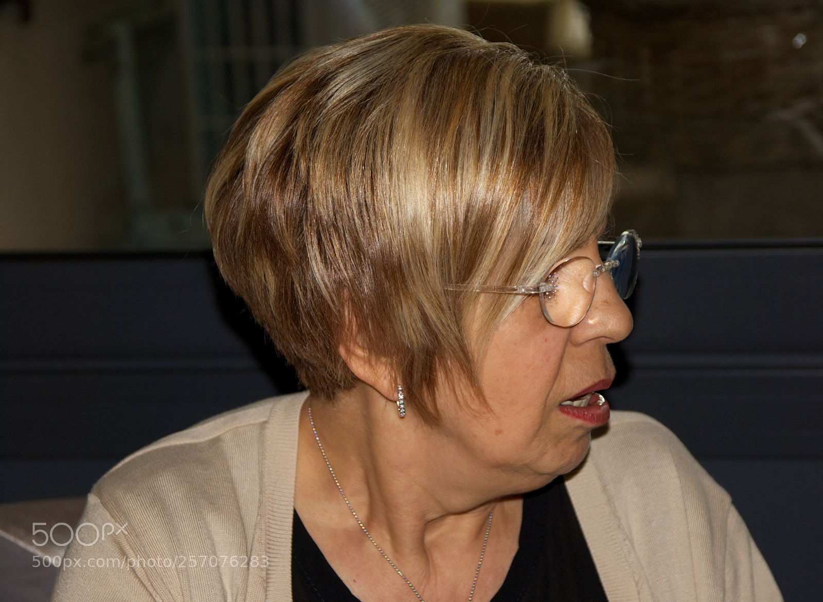 Nikon D60 sample photo. Version photography