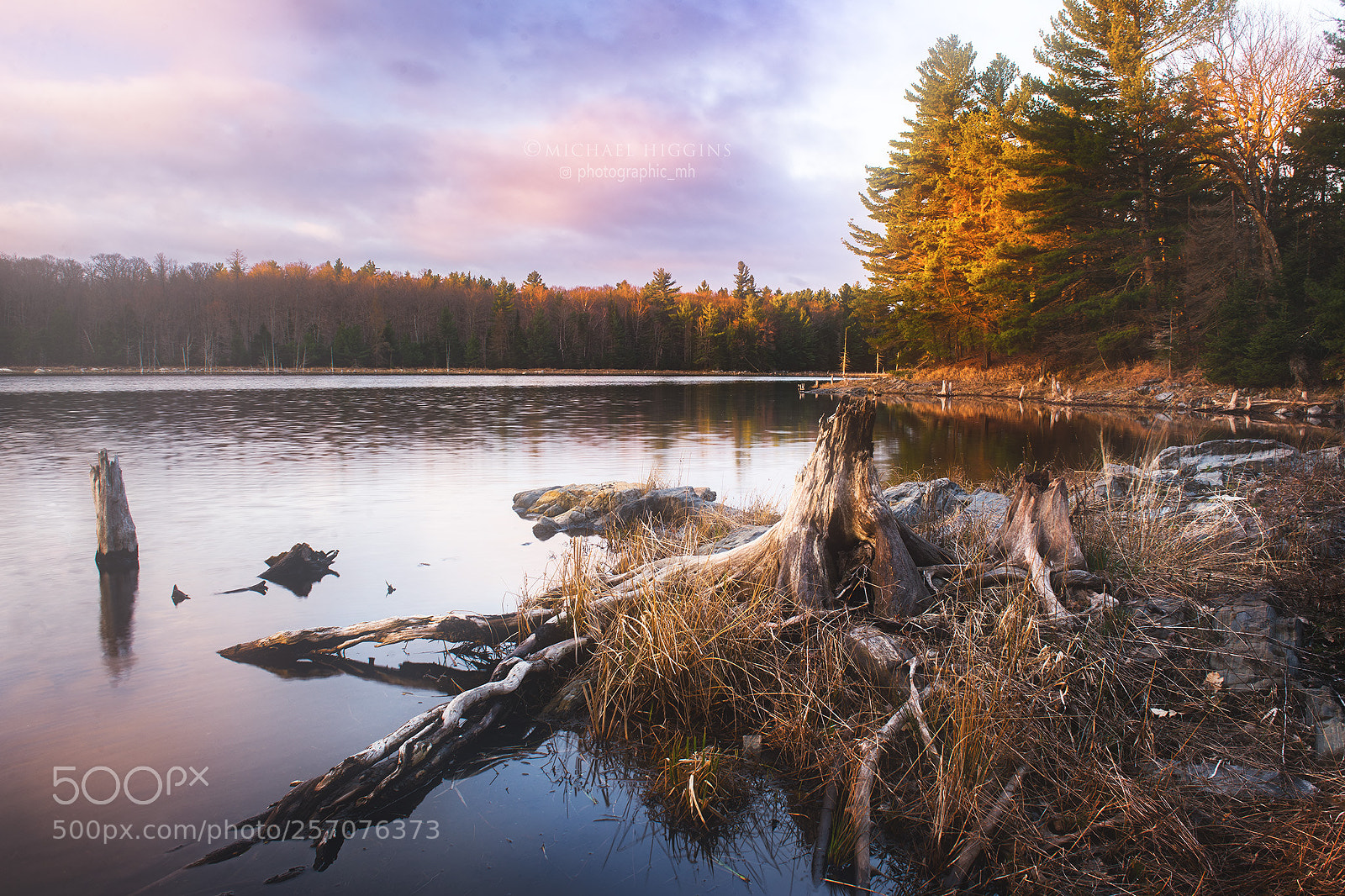 Nikon D610 sample photo. Lakeshore by dawn's light photography