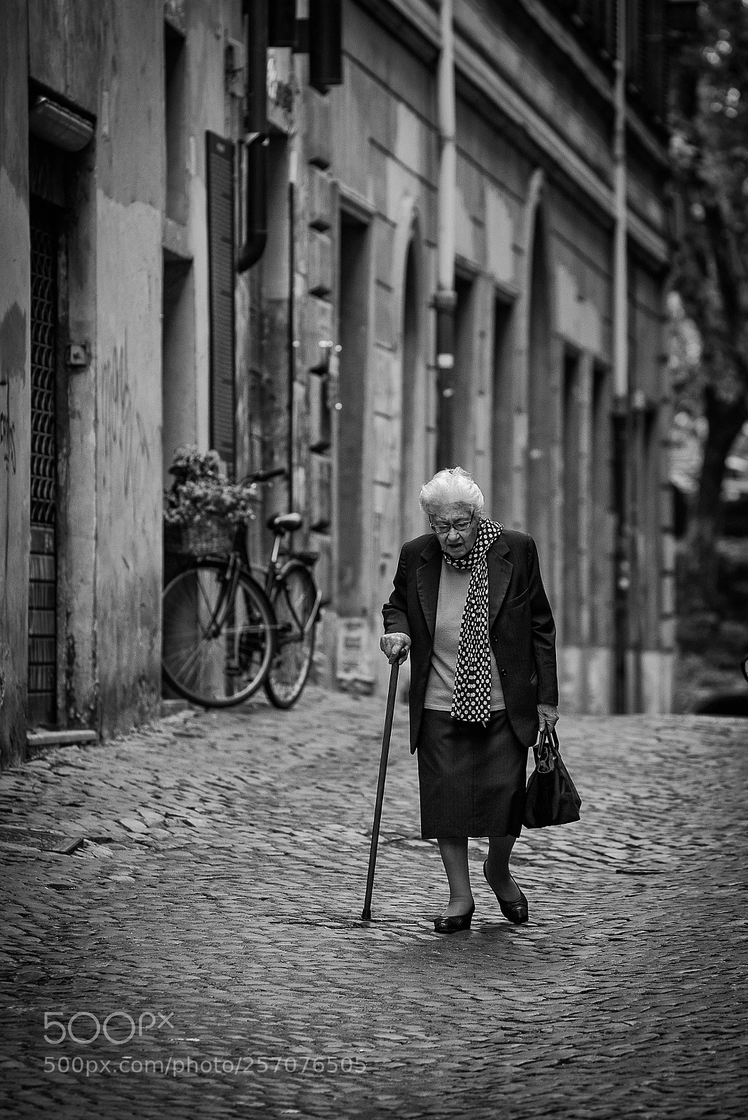 Nikon D750 sample photo. ...meglio proseguire a piedi! photography