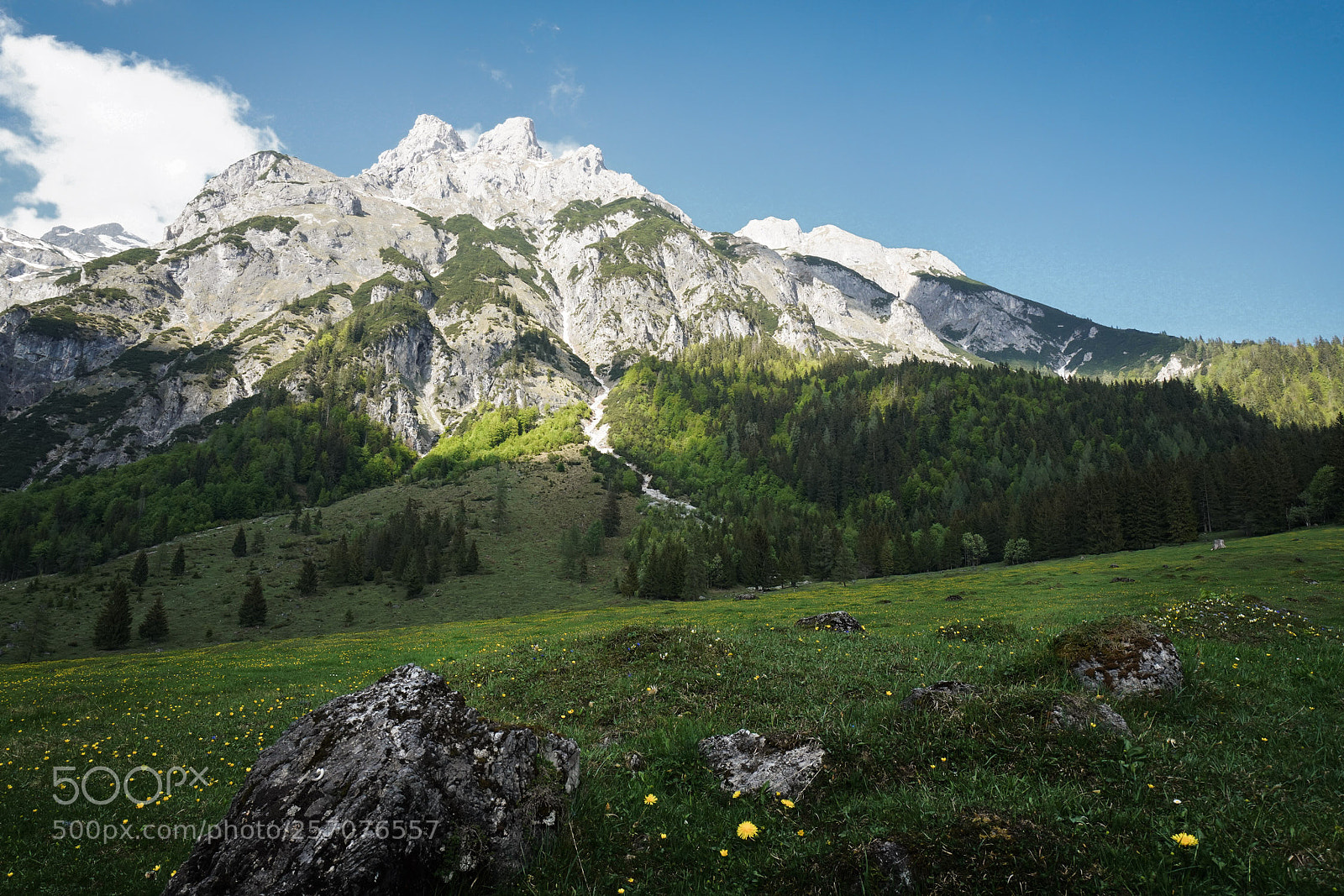 Sony a7R III sample photo. Untitled photography
