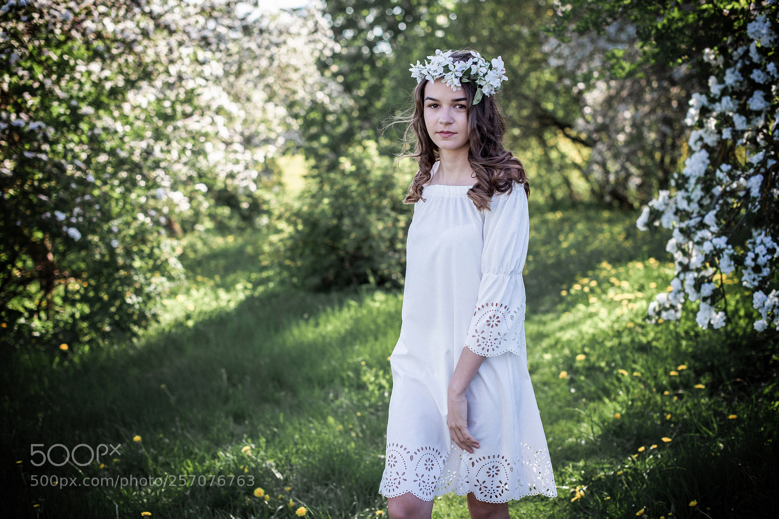 Nikon D750 sample photo. Blooming youth photography