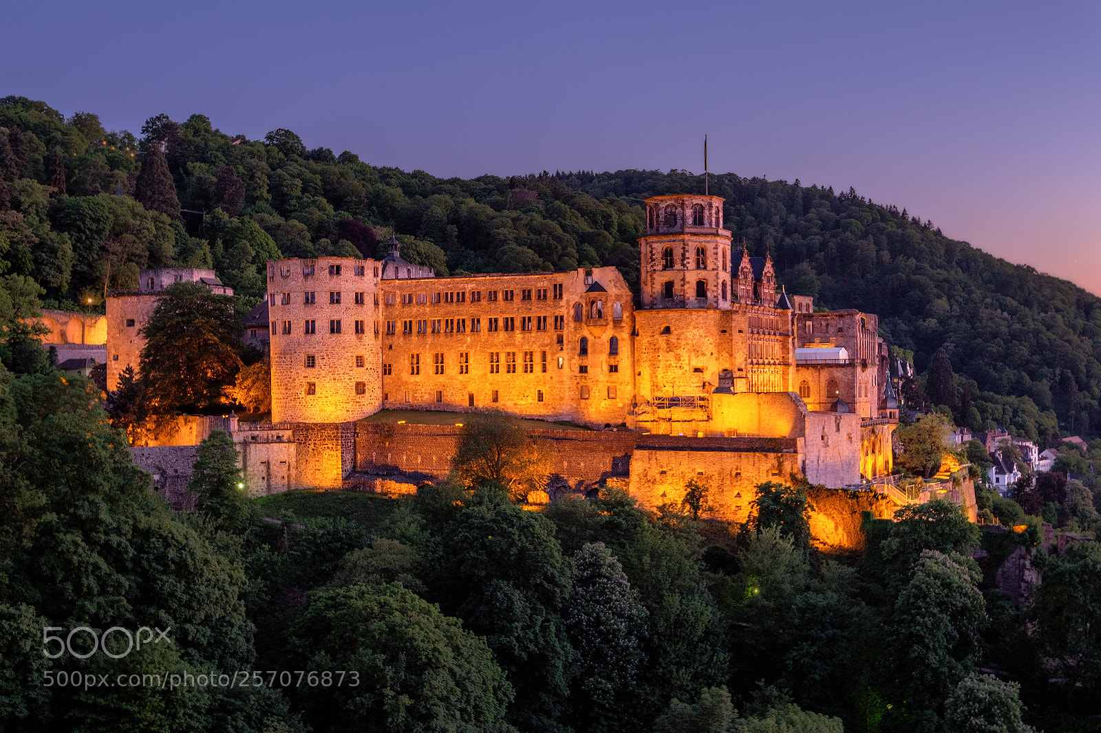 Fujifilm X-T2 sample photo. Heidelberger schloss photography