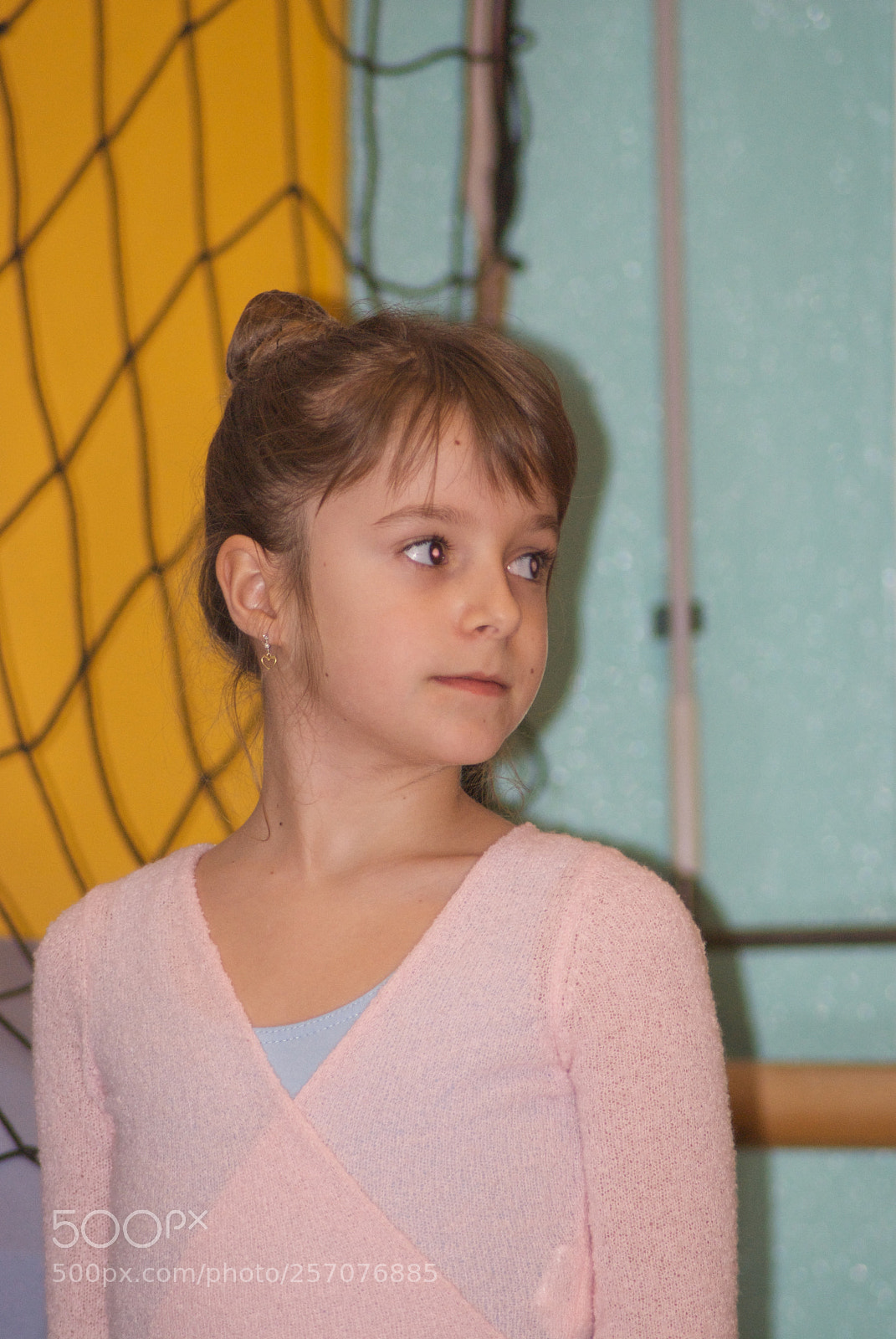 Nikon D60 sample photo. Version photography