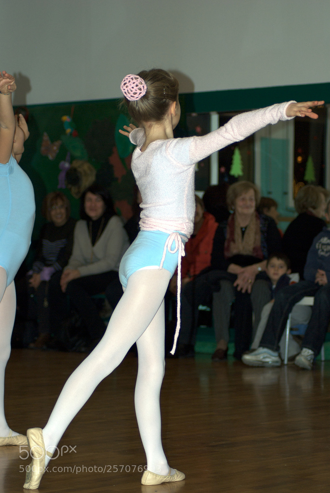 Nikon D60 sample photo. Version photography