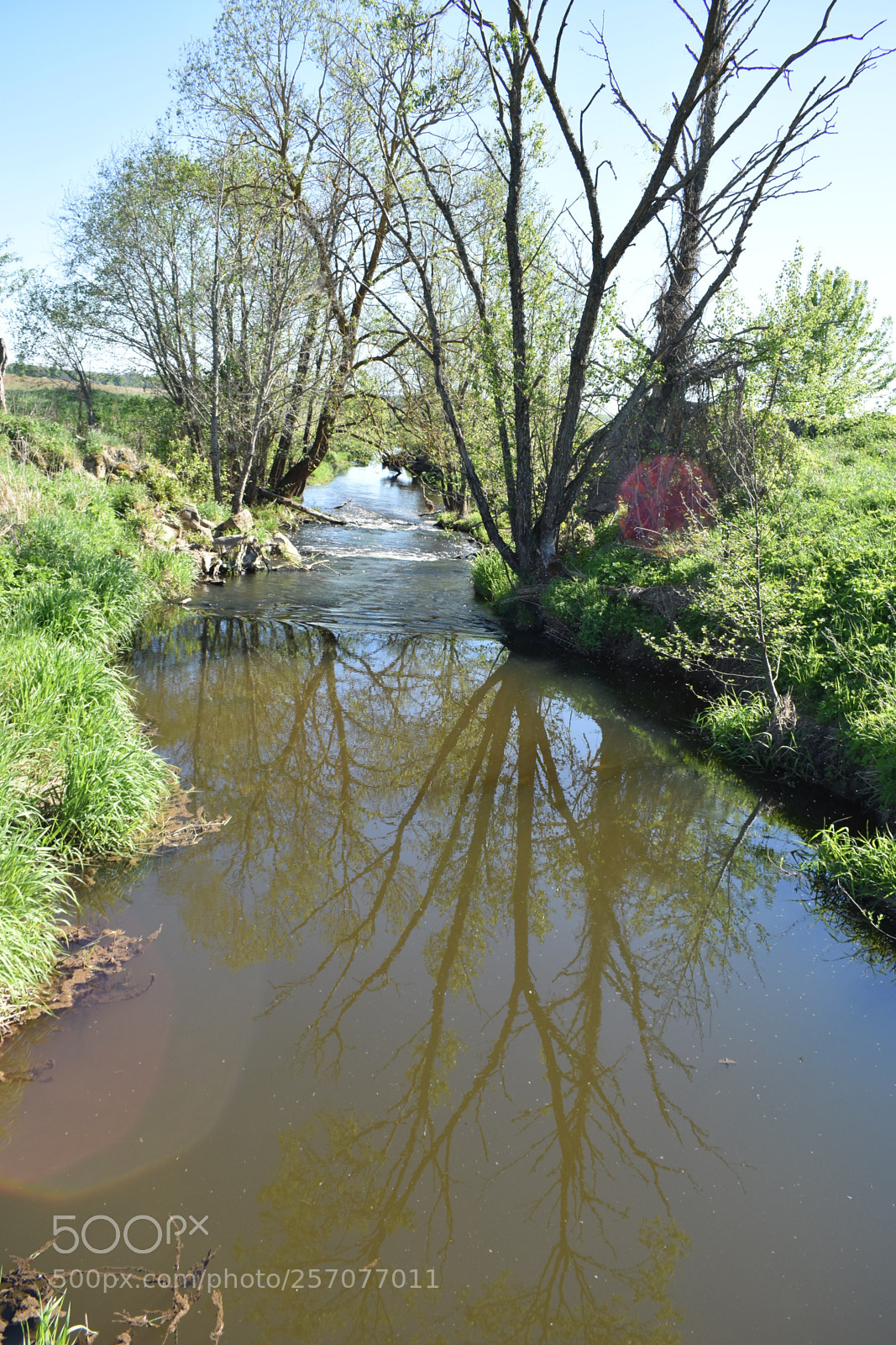 Nikon D3400 sample photo. Upė photography