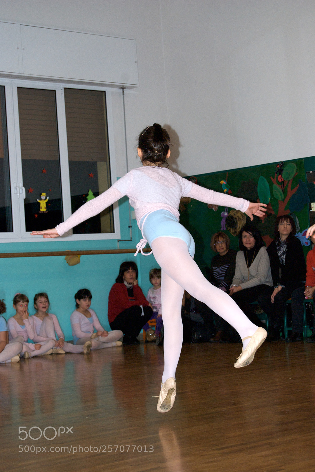 Nikon D60 sample photo. Version photography