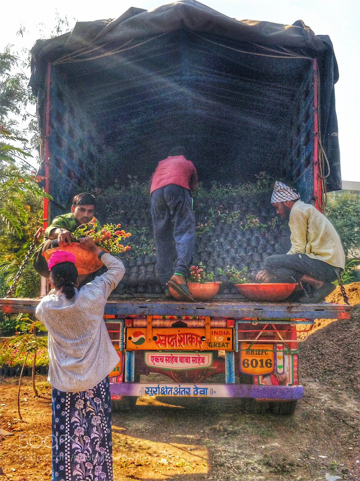 OnePlus 5 sample photo. Untitled photography