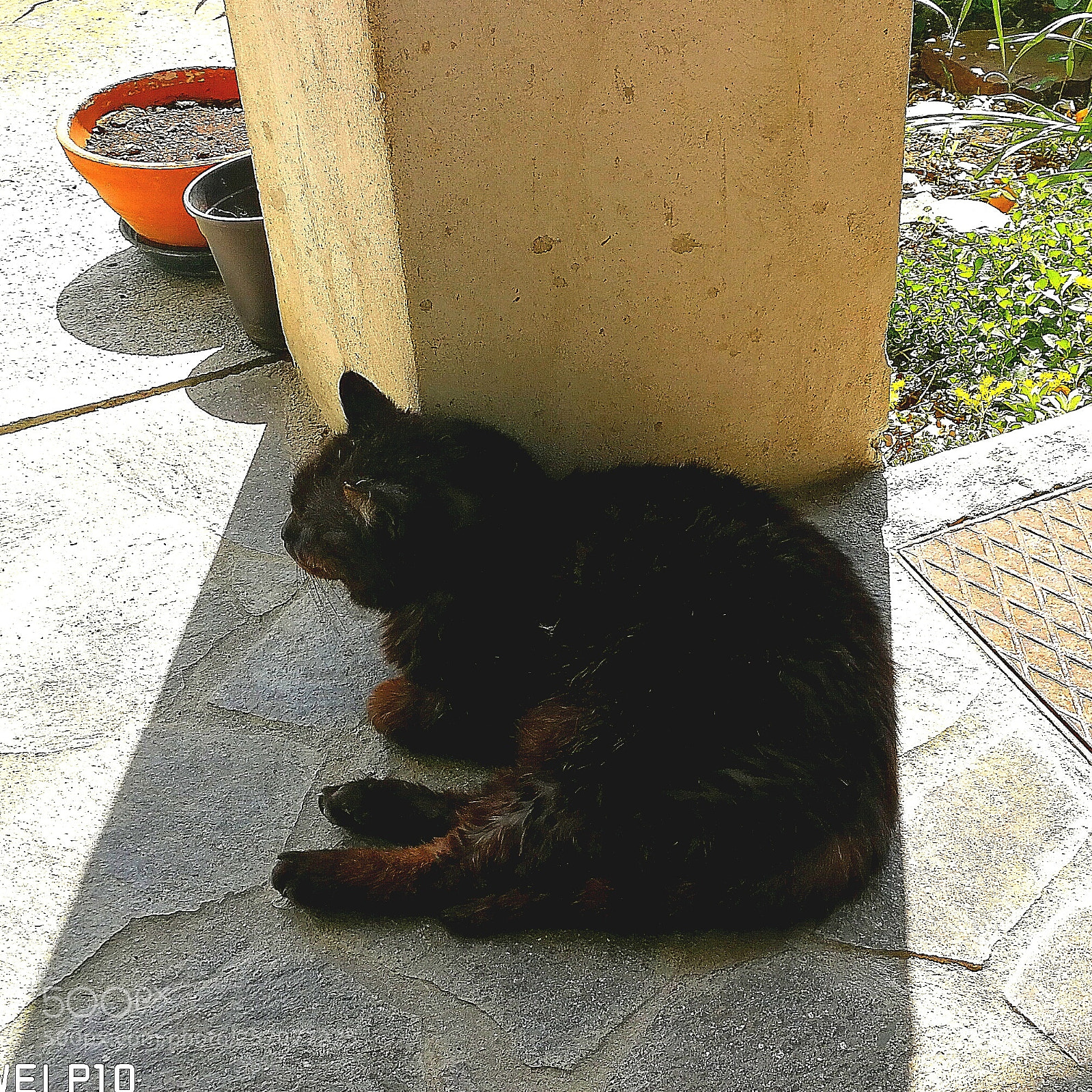 HUAWEI P10 sample photo. Too much fat photography