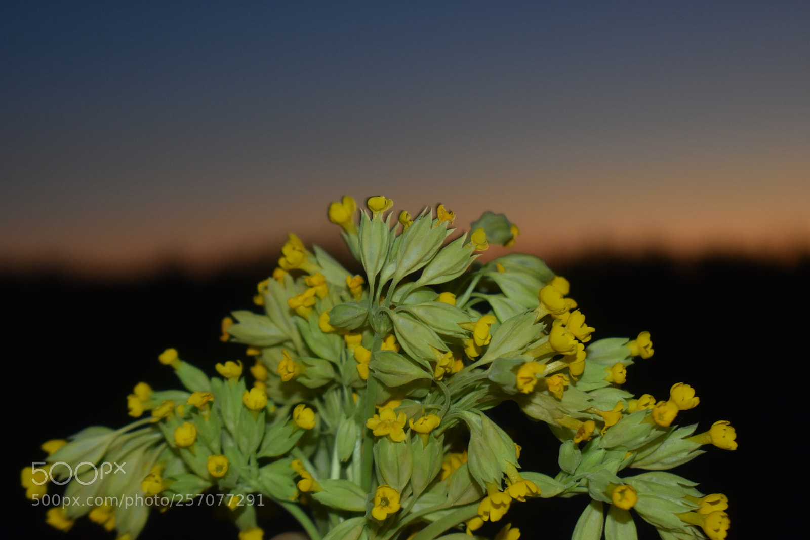 Nikon D3400 sample photo. Just... photography