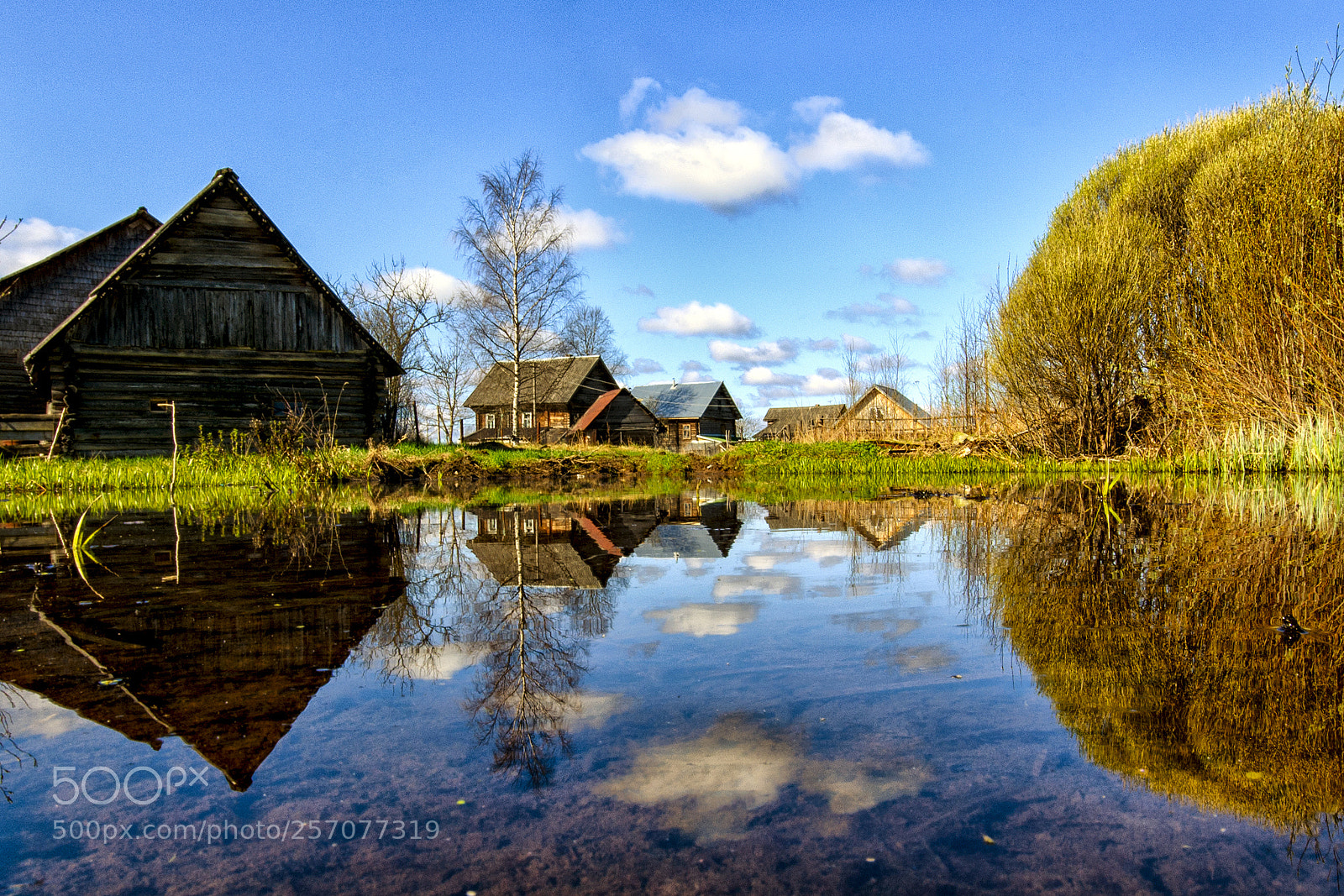 Nikon D5200 sample photo. Дорожная лужа photography