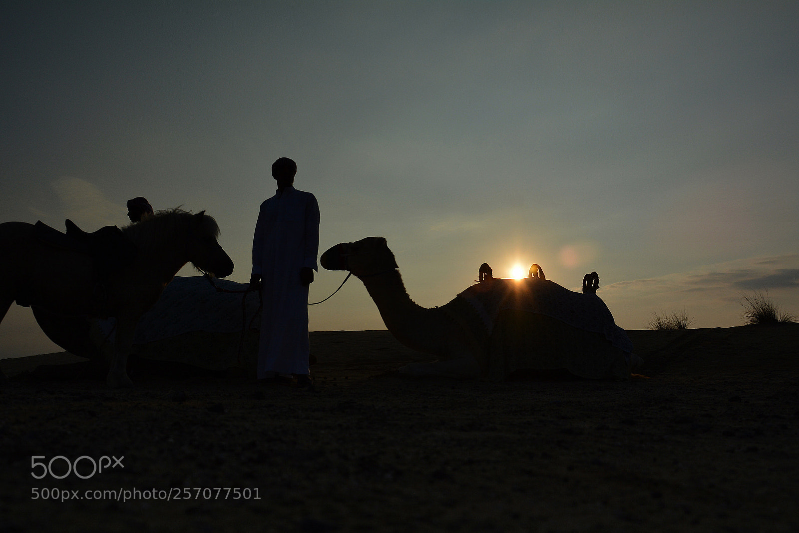 Nikon D7100 sample photo. Desert  photography