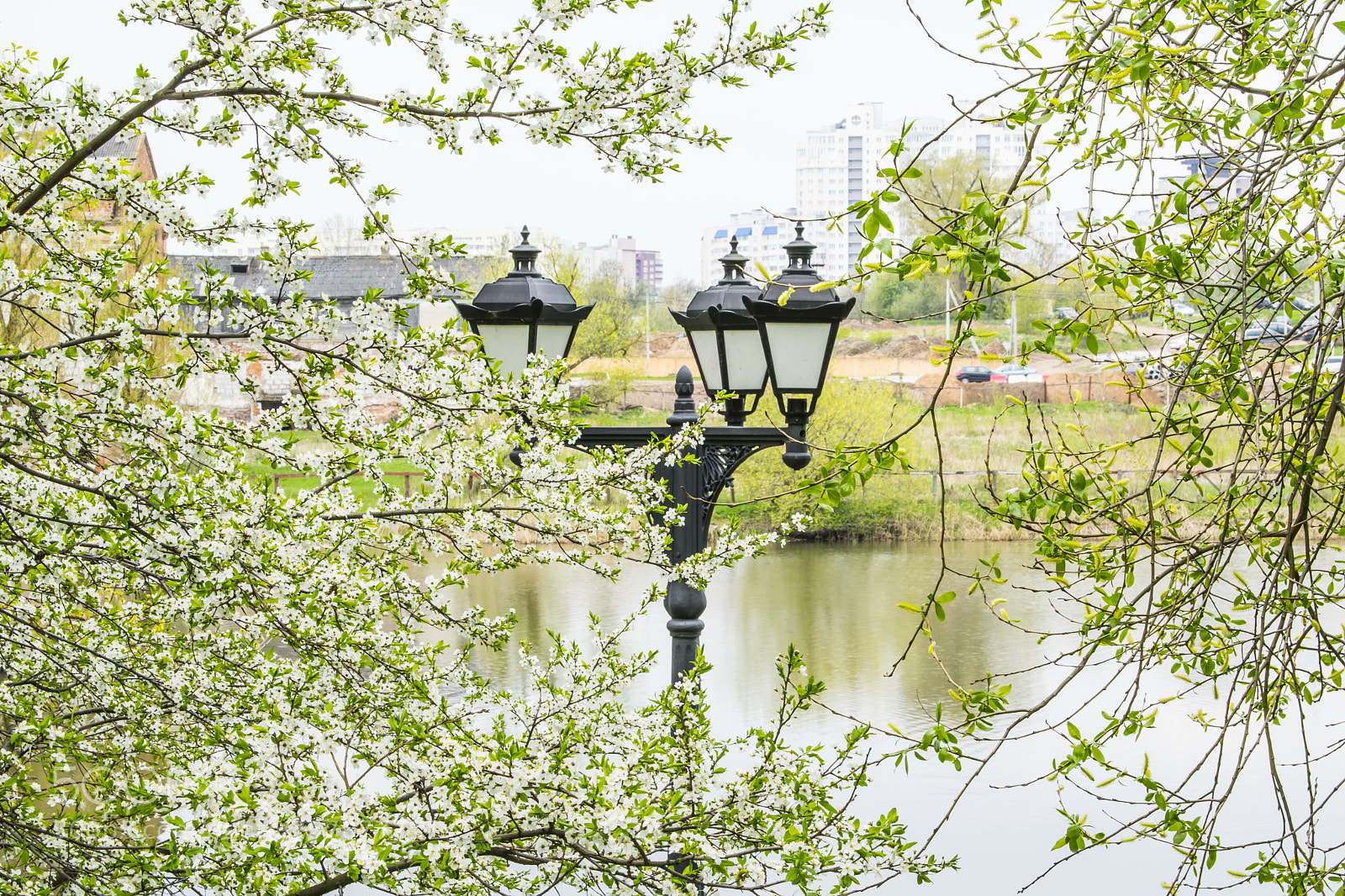 Nikon D5300 sample photo. Black metal lantern with photography