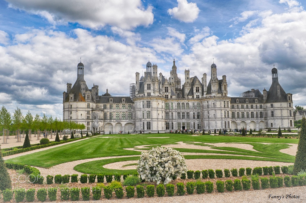 Nikon D300S sample photo. Chambord 2 photography