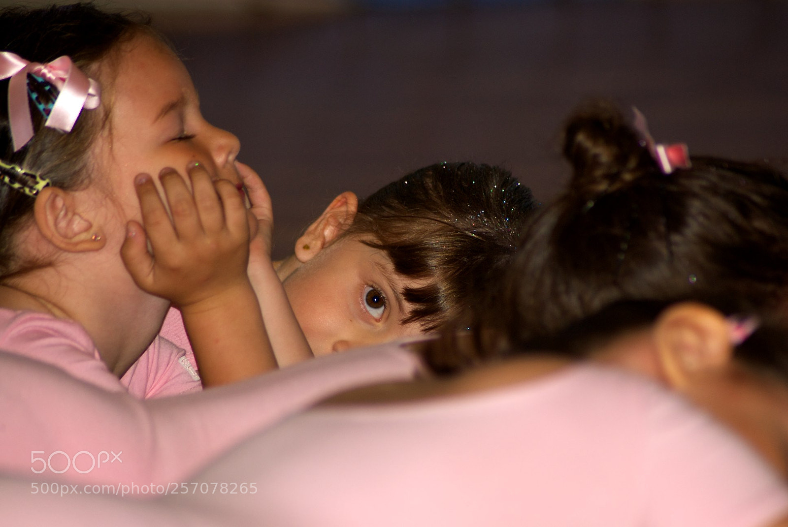 Nikon D60 sample photo. Version photography