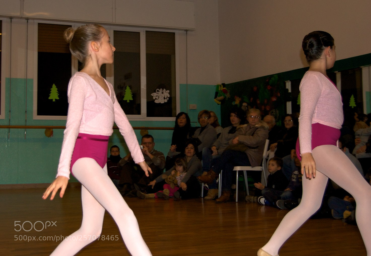 Nikon D60 sample photo. Version photography