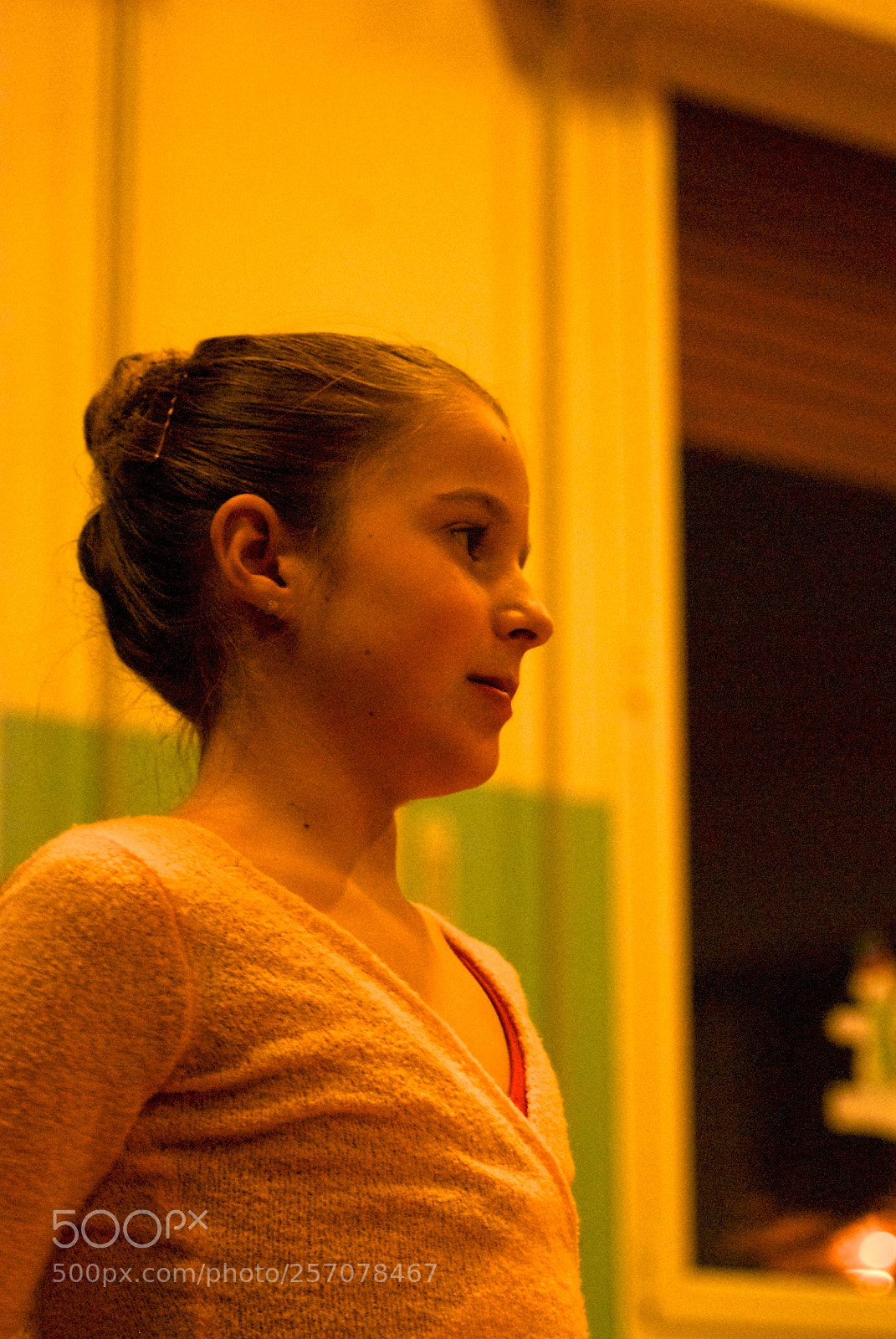 Nikon D60 sample photo. Version photography