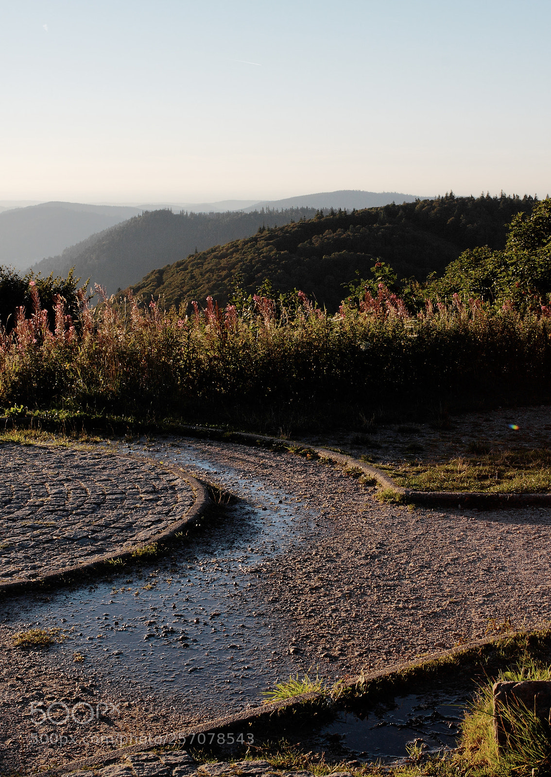Canon EOS 50D sample photo. Terre des vosges photography