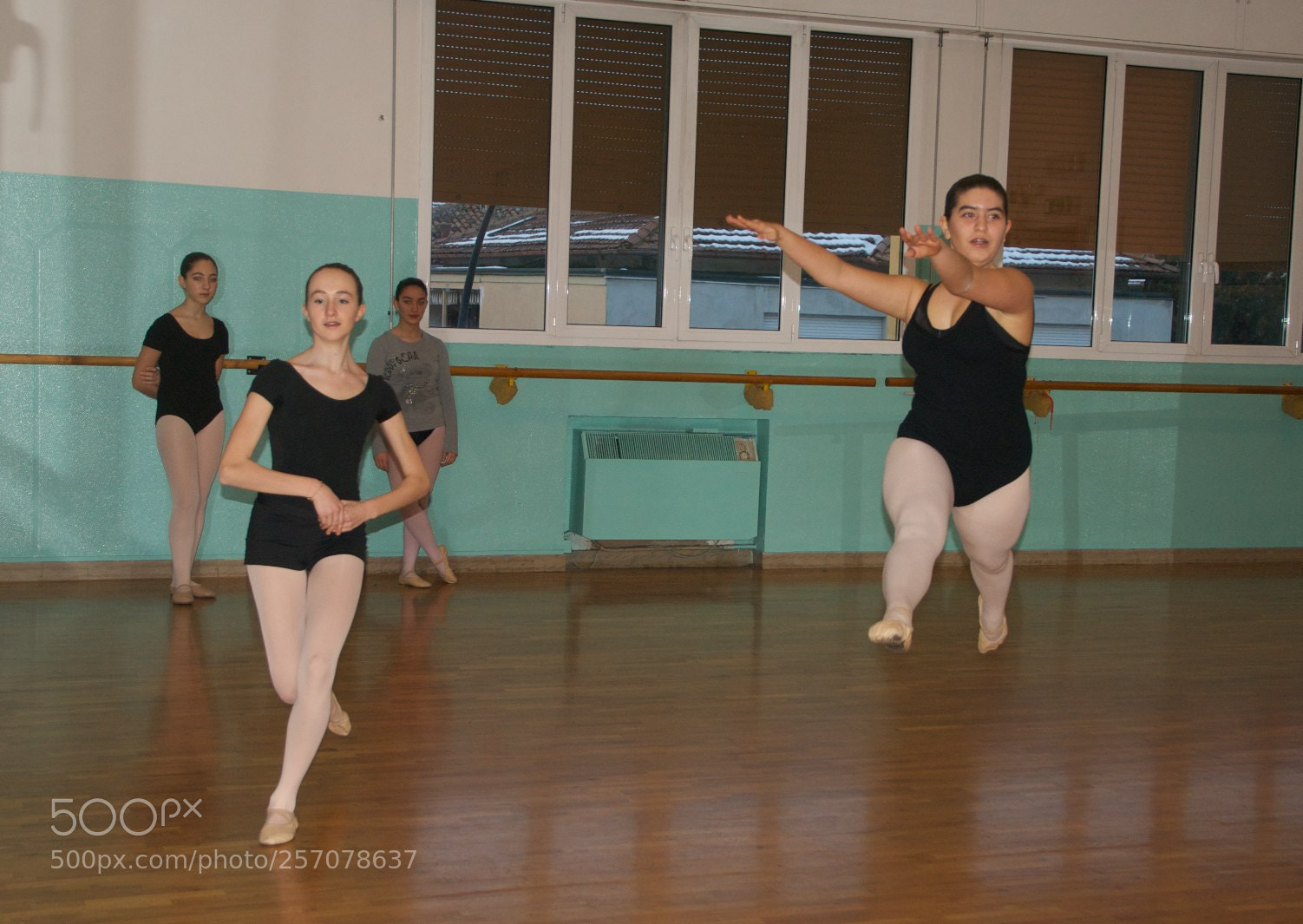 Nikon D60 sample photo. Version photography