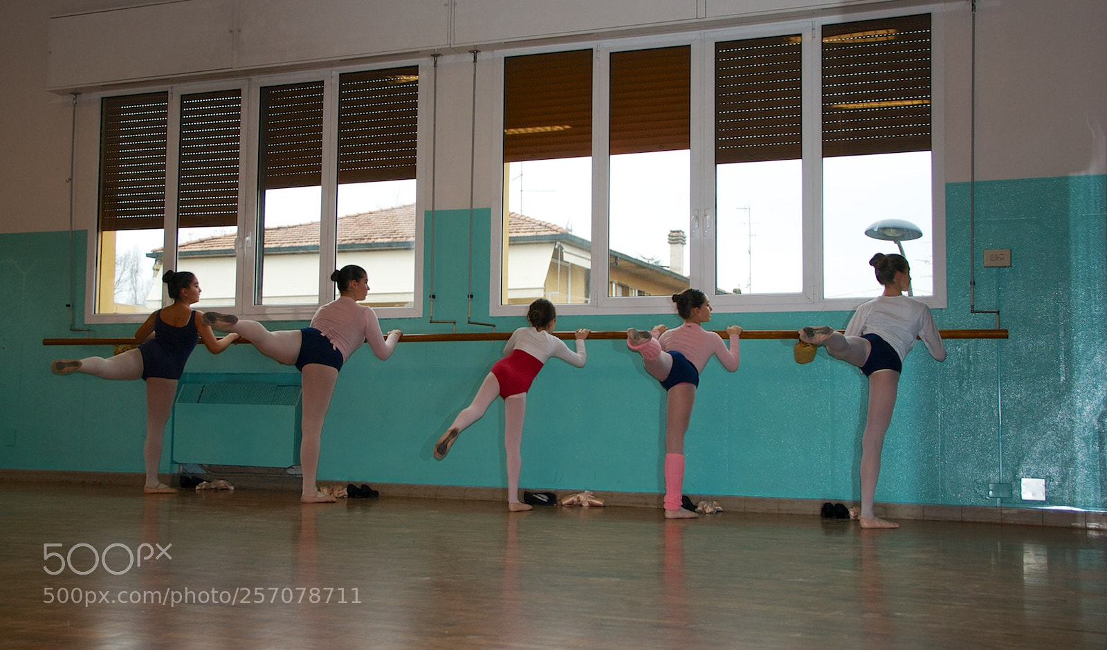 Nikon D60 sample photo. Version photography