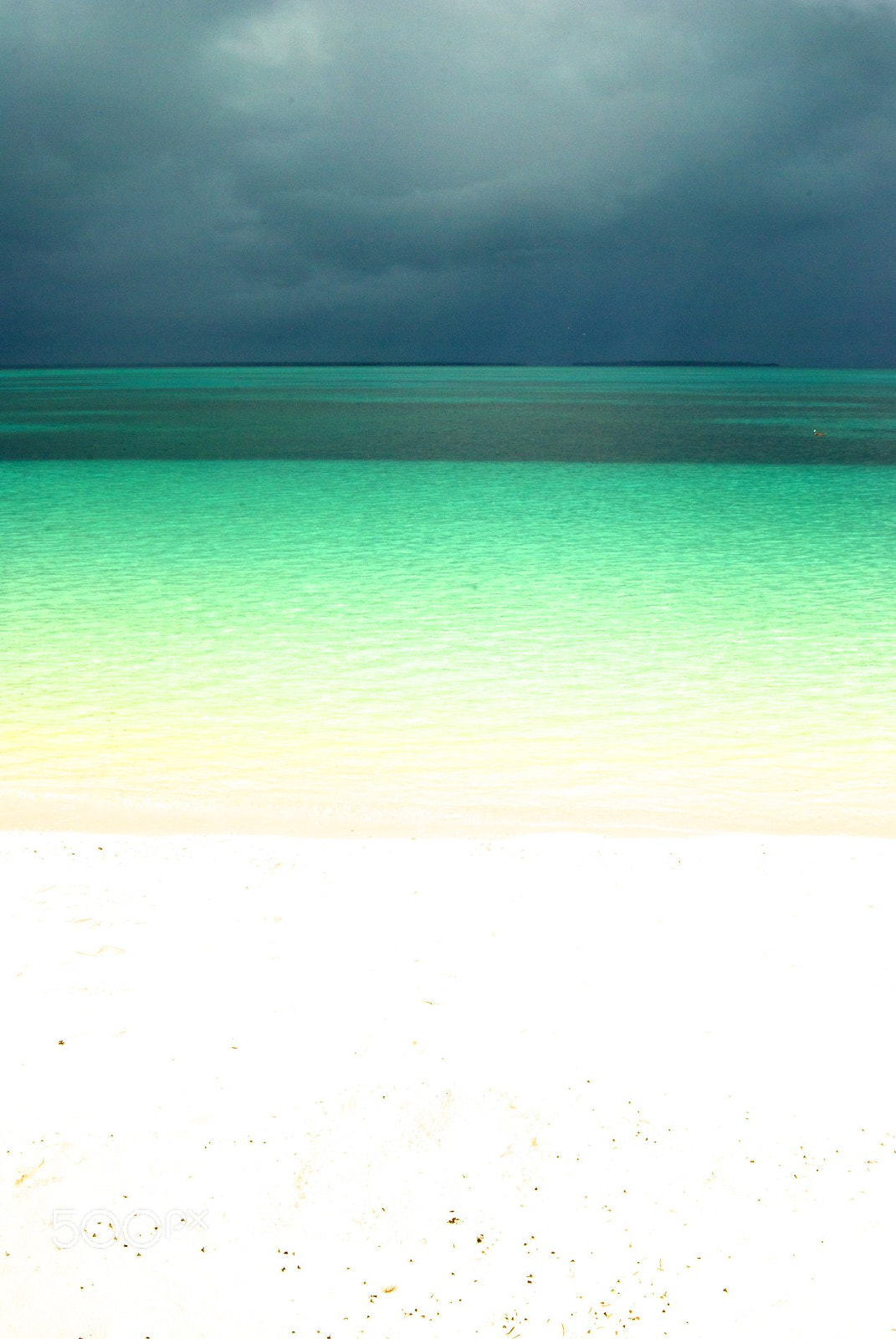 Nikon D60 sample photo. Color palette photography