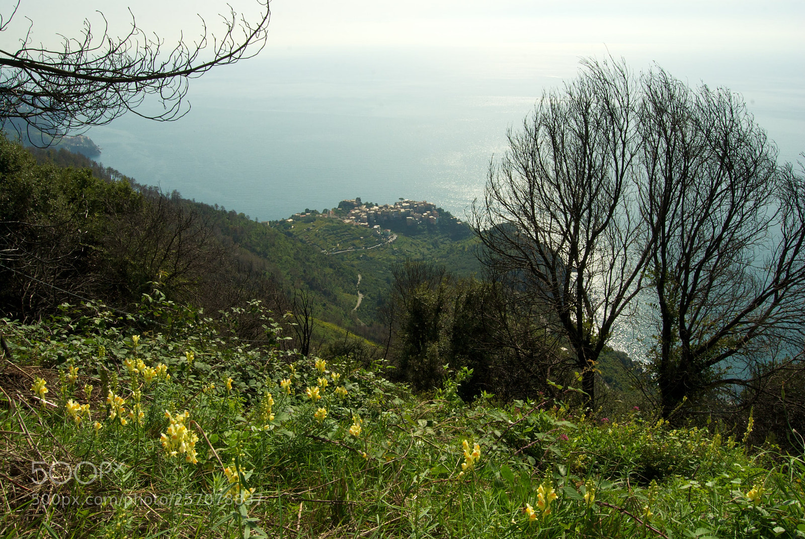 Nikon D60 sample photo. Corniglia photography