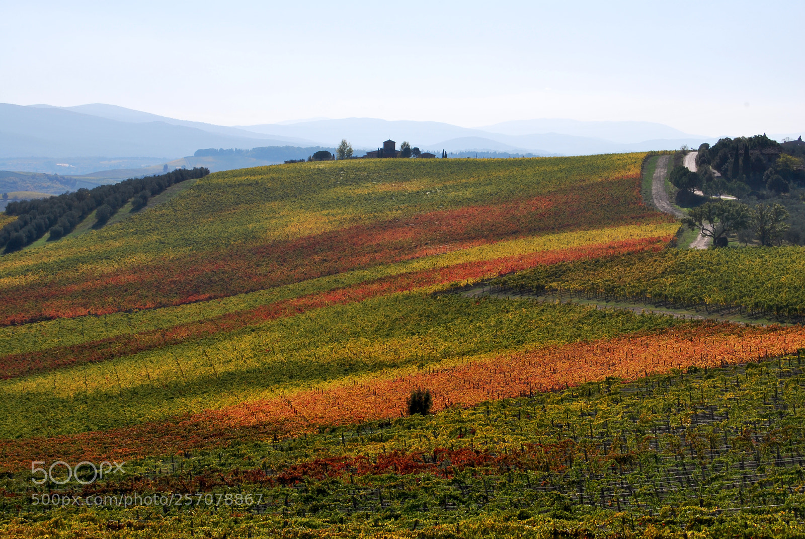 Nikon D60 sample photo. Version photography