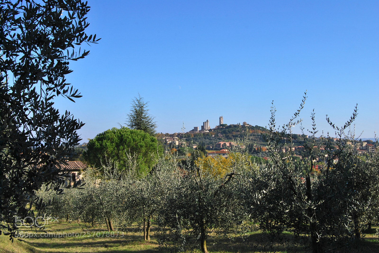 Nikon D60 sample photo. Version photography