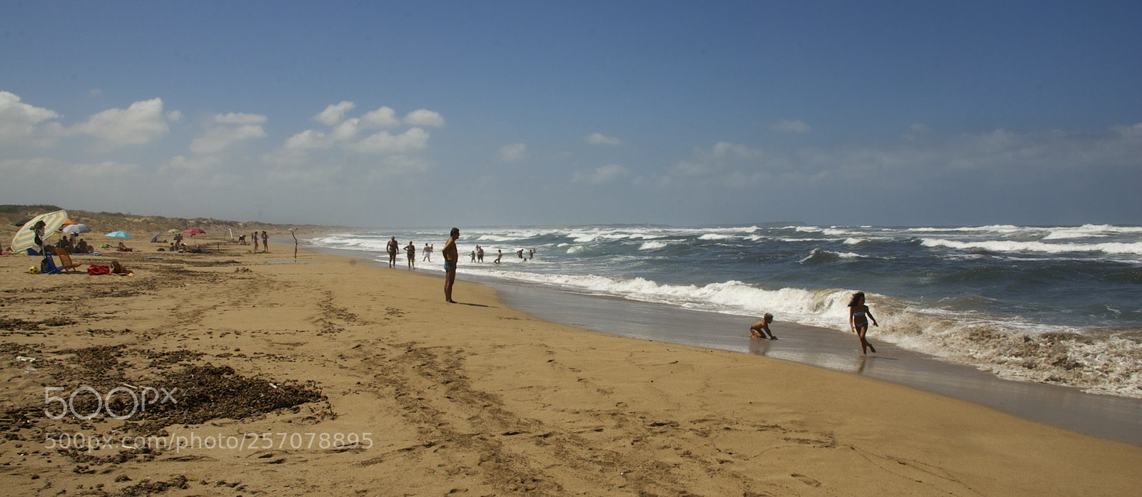 Nikon D60 sample photo. Version () photography